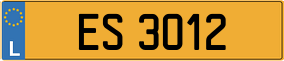 Trailer License Plate